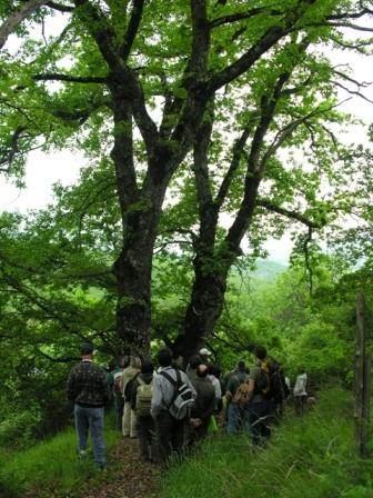 25 maggio oasi di Ghirardi (PR)